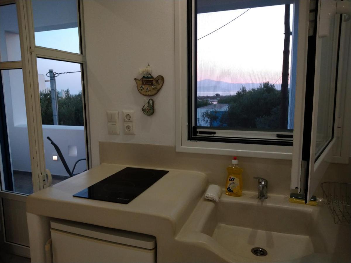 Nikoletta Studios 1 Agios Prokopios  Exteriér fotografie
