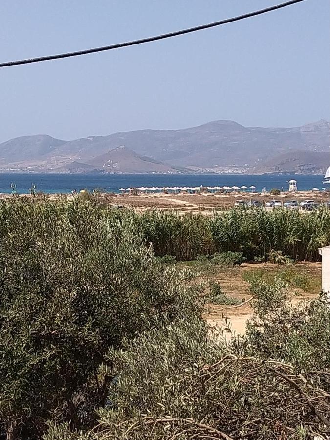 Nikoletta Studios 1 Agios Prokopios  Exteriér fotografie